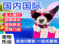 珠海金湾空运国际宠物托运 【国